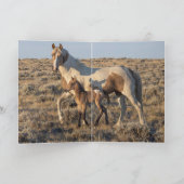 Grußkarte Wildes Pferd - Grace und Donata Dankeskarte (Innenseite)
