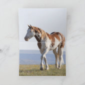 Grußkarte Wildes Pferd - Tetons Herausforderung Dankeskarte (Innenseite)