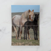 Grußkarte Wildes Pferd - Wilder Mare und Foal Run Dankeskarte (Innenseite)