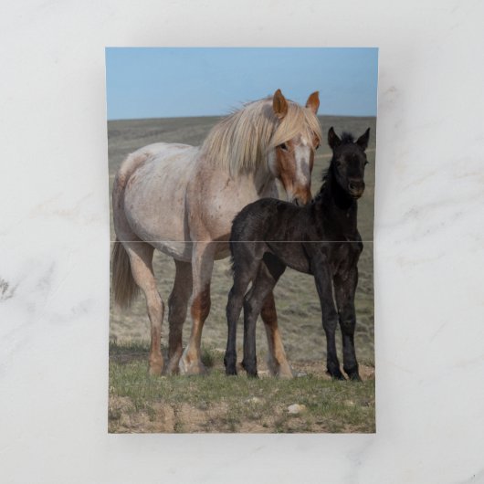 Grußkarte Wildes Pferd - Wilder Mare und Foal Run Dankeskarte (Innenseite)