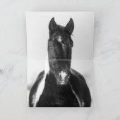 Grußkarte Wildes Pferd - Winterfarbe Karte (Innenseite)