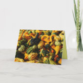 Grußkarte zum Erntedankfest Gourds Feiertagskarte (Rückseite)