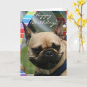Grußkarte zum französischen Bulldog Geburtstag Karte (Gelbe Blume)