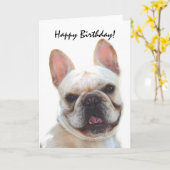 Grußkarte zum französischen Bulldog Geburtstag Karte (Gelbe Blume)