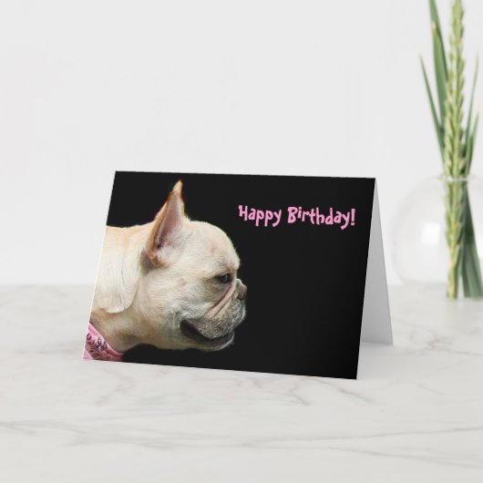 Grußkarte zum französischen Bulldog Geburtstag Karte (Vorderseite)