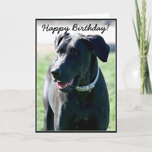 Grußkarte zum Geburtstag Black Great Dane Karte (Vorderseite)