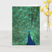 Grußkarte zum Geburtstag des Pfauens Karte (Gelbe Blume)