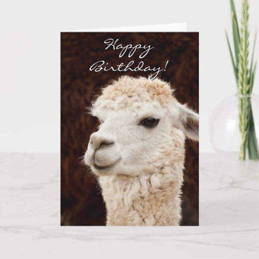 Grußkarte zum Geburtstag eines Lama Karte (Vorderseite)