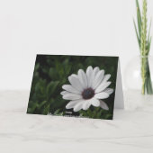 Grußkarte zum Geburtstag Karte (Rückseite)