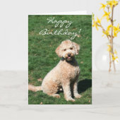 Grußkarte zum Geburtstag Mini Goldendoodle Karte (Gelbe Blume)