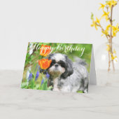 Grußkarte zum Geburtstag Shitzu Girl Karte (Gelbe Blume)