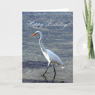 Grußkarte zum Geburtstag von Great Egret Bird Dankeskarte