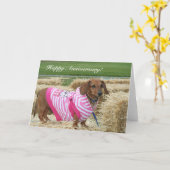 Grußkarte zum Jubiläum der Dackel Karte (Gelbe Blume)