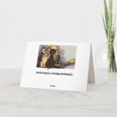 Grußkarte zwischen Eule und Katze Karte (Rückseite)