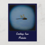 Grußkarten aus dem Ferienland Postkarte (Vorderseite)