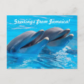 Grußkarten aus Jamaika Postkarte (Vorderseite)