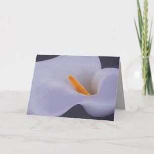 Grußkarten der Calla Lily Blank Karte