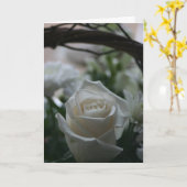 Grußkarten der weißen Rose der Beileids-Karte Karte (Gelbe Blume)