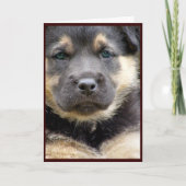 Grußkarten Feiertagskarte (Vorderseite)