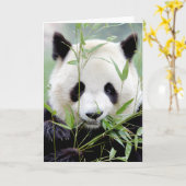 Grußkarten Foto Riesenpanda. Panda Geant. Karte (Gelbe Blume)