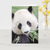 Grußkarten Foto Riesenpanda. Panda Geant. Karte (Gelbe Blume)