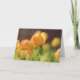 Grußkarten - Frühlingsgelbe Blüte Karte