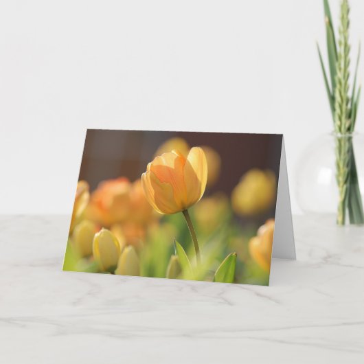 Grußkarten - Frühlingsgelbe Blüte Karte (Vorderseite)