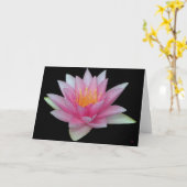 Grußkarten für die Wasserlilie Karte (Gelbe Blume)
