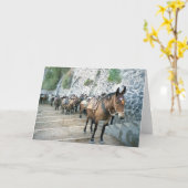 Grußkarten für Mules in Griechenland Karte (Gelbe Blume)