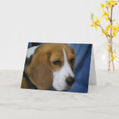 Grußkarten für niedliche Beagle Karte (Gelbe Blume)