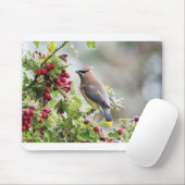 Grusskarten für Wildtiere - Zeder-Waxwing Mousepad (Mit Mouse)