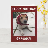 Grußkarten-Glückwunsch Geburtstagsgrandma anpassen Karte (Gelbe Blume)