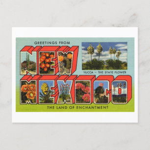Grußkarten im Vintage-Stil aus New Mexico Postkarte