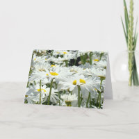 Grußkarten nach Maß Weiße Daisy Blume Blumenmuster