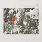 Grußkarten Postkarte (Vorderseite)