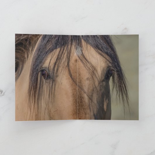 Grußkarten von Fallen Star in Portrait Wild Horse Dankeskarte (Innenseite)
