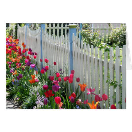 Grußkartentulips Gartweiße Zaun