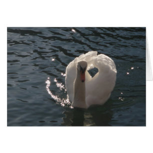 Grussromantischer weisser Schwan