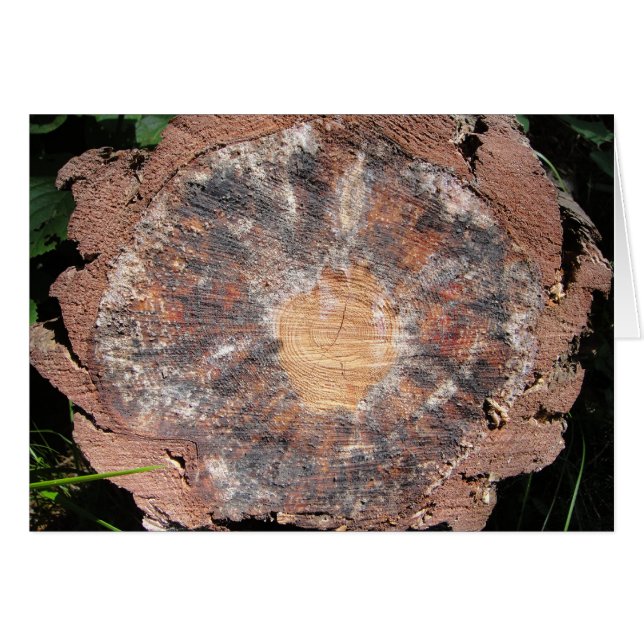Grusswerte Jahresringe, decke (Vorderseite (Horizontal))