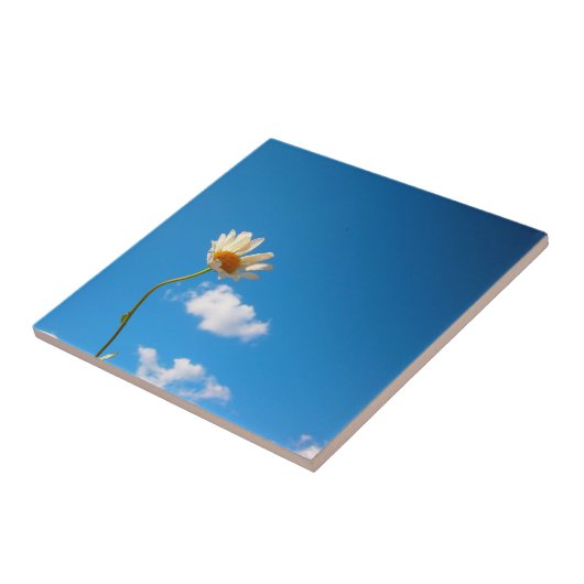 Grytunderlägg Daisy Fliese (Seite)