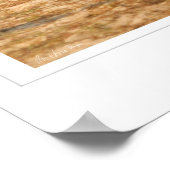 GS Sand Slide Poster (Ecke)