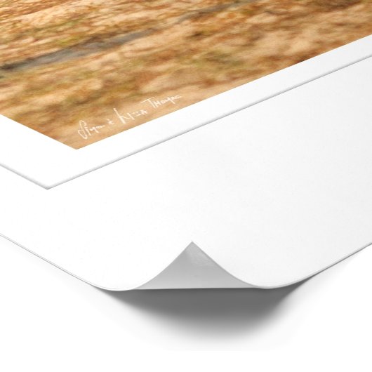 GS Sand Slide Poster (Ecke)