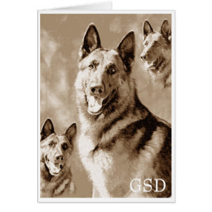 GSD definiert