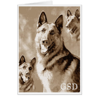 GSD definiert