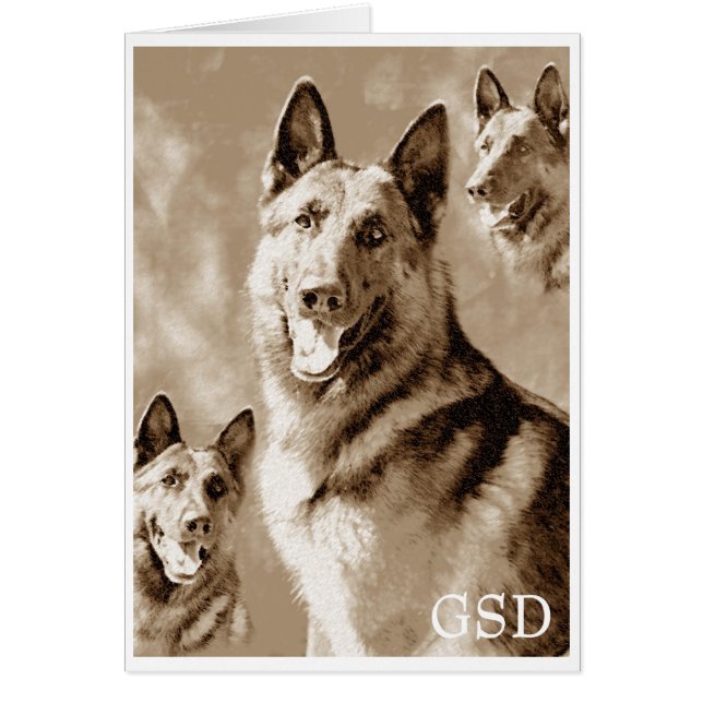 GSD definiert (Vorne)