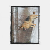 GSD im Winter-Schnee Fleecedecke (Vorderseite)