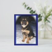 GSD-Mix-Postkarten Postkarte (Stehend Vorderseite)