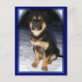 GSD-Mix-Postkarten Postkarte (Vorderseite)