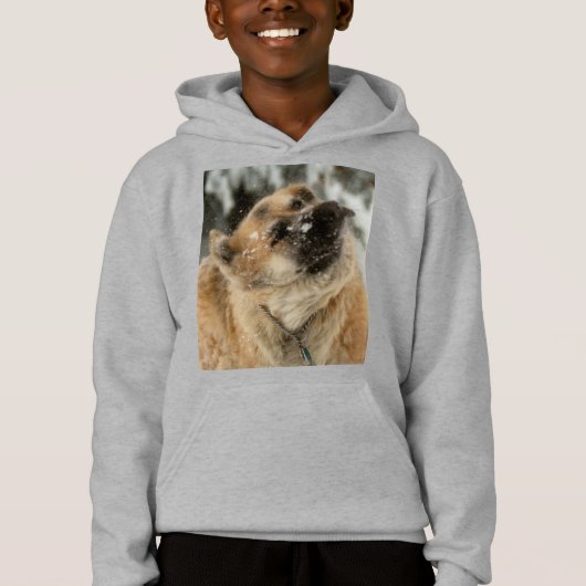 GSD-Shake Hoodie (Vorderseite)