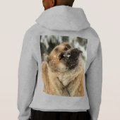 GSD-Shake Hoodie (Rückseite)
